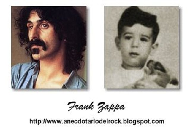 zappa