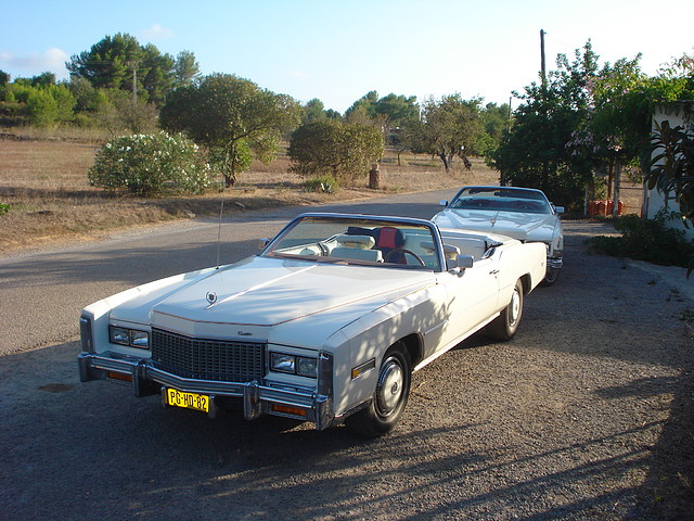 73 & 75 Eldorado 004