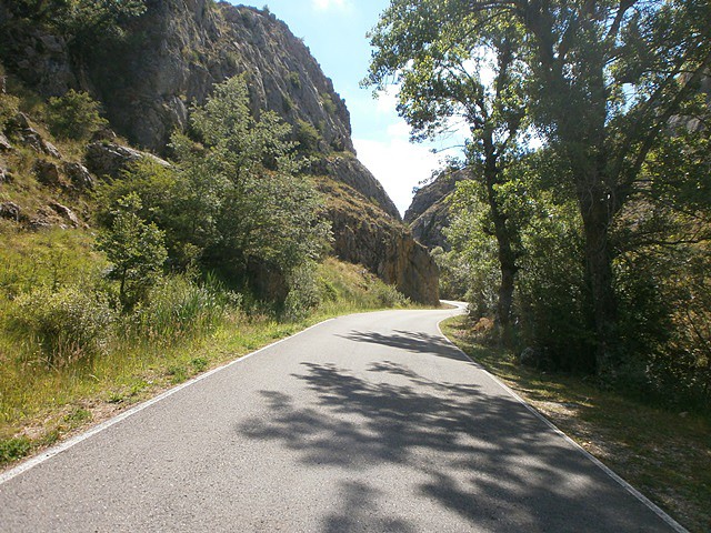 Fuentes de Peacorada (4)