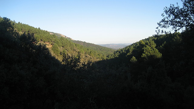 PALANCO. ELCHORTAL.    ENE.2011 (21)