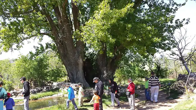 Foto ruta 208 (Querencia).