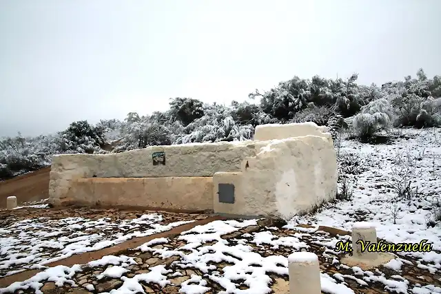 16, fuente del rosal, marca