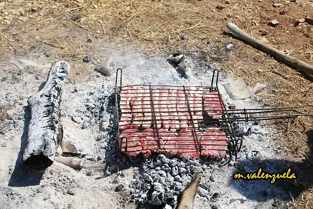 31, chuletas a la brasa, marca