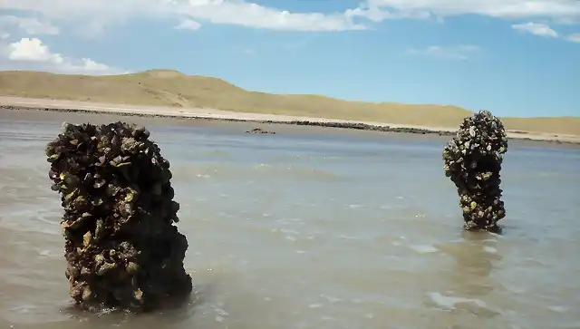 Rocas en cuatri 024