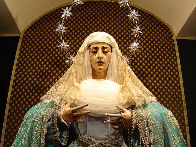 dsc04474rrib7 dsc04474rrib7