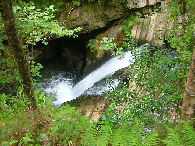DSCN3779 DSCN3779