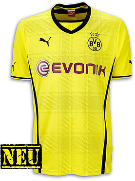 Borussia Dortmund 13-14 Home Kit (4)