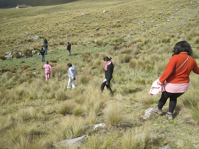 trekking Cushuro... trekking Cushuro...