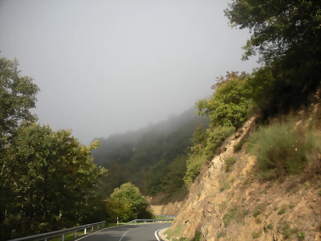 DSCN9958 DSCN9958