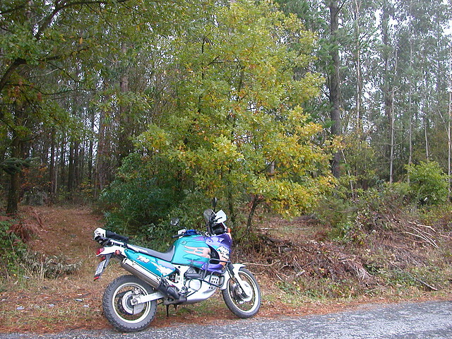DSCN8423 DSCN8423