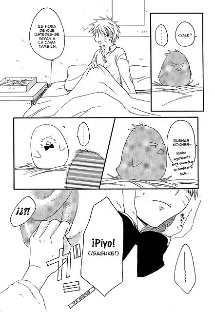 piyopiyo_04