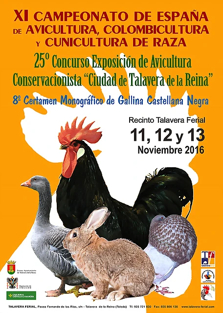 cartel-talavera-2016 cartel-talavera-2016