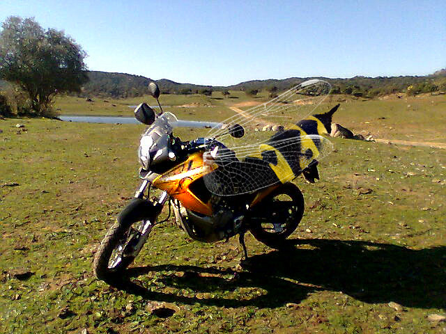 pantano del pedroso 12-01-08   3o