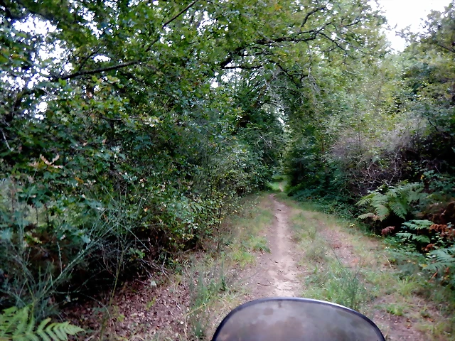 DSCN7355 DSCN7355