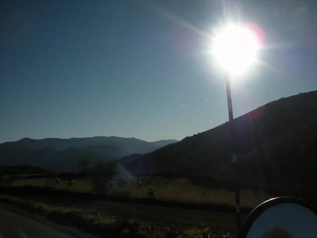 DSCN2441'5 DSCN2441'5