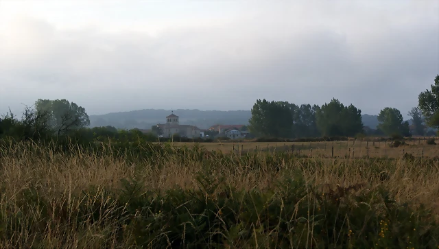 DSC04754 DSC04754