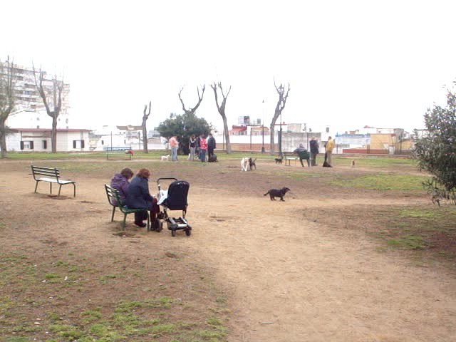 foro-Parque para perros en Huelva-15.02.14-J.Ch.Q 13