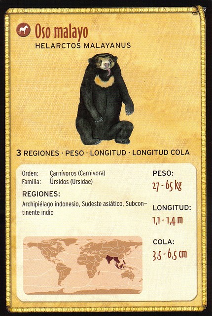 oso malayo