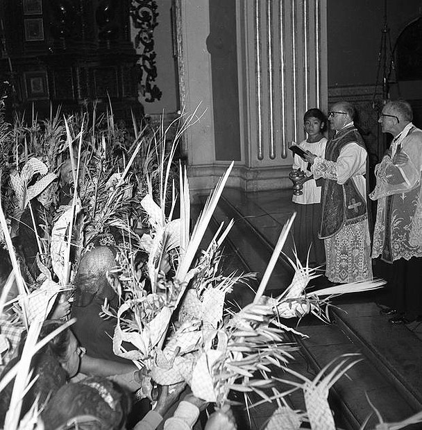 domingo de ramos 1965 san pedro lima