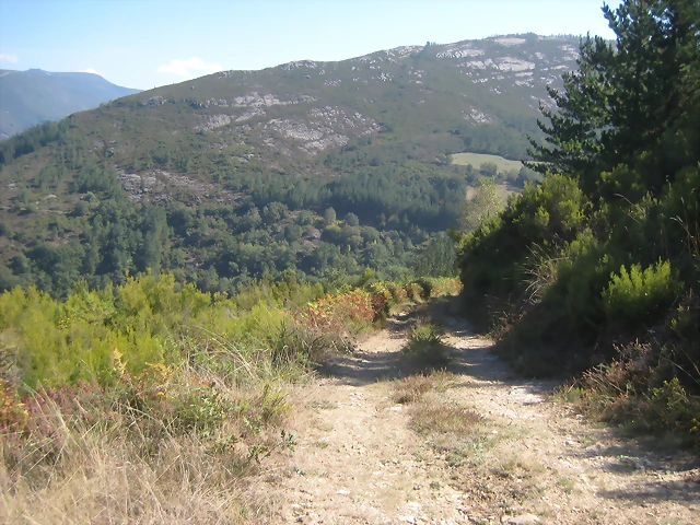 IMG_0525 IMG_0525