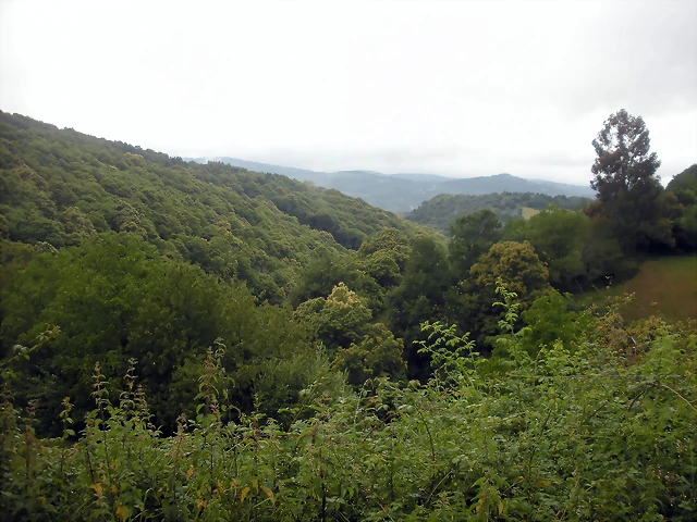 DSCN4783 DSCN4783