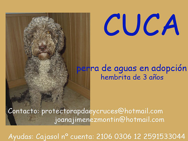 CUCA Sevilla