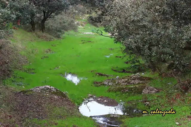 02, camino abajo, marca