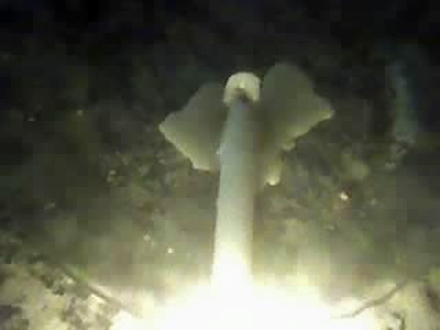vela = angel