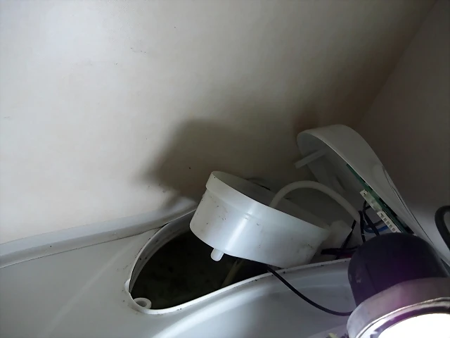 wc3 wc3