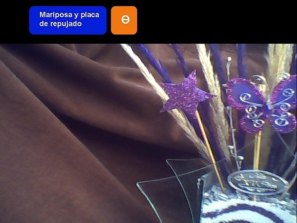 foto mariposa y placa foto mariposa y placa