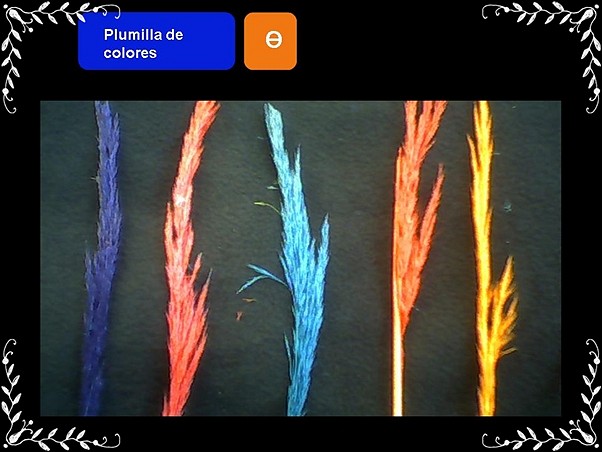 Accesorio plumilla Accesorio plumilla
