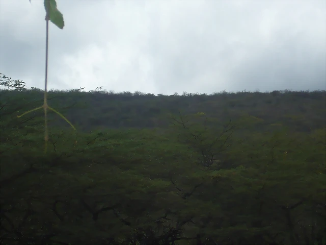 P1000084 P1000084
