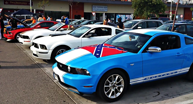 DSC_2563 DSC_2563
