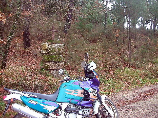 DSCN5308 DSCN5308