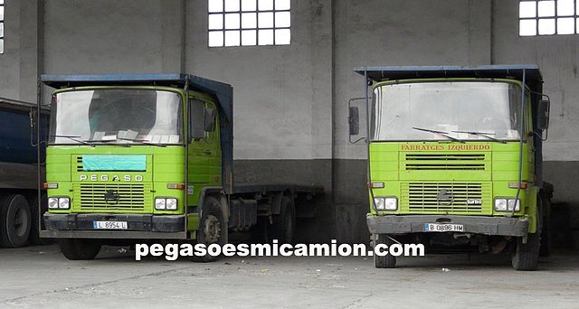 pegasoesmicamion