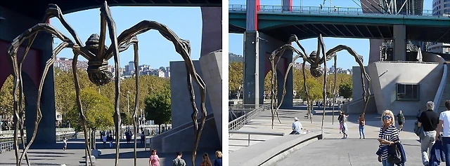 54 54