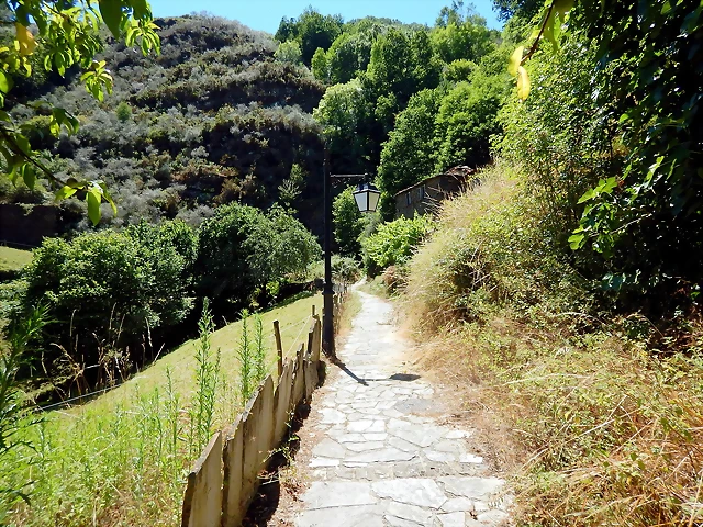 DSCN7783 DSCN7783