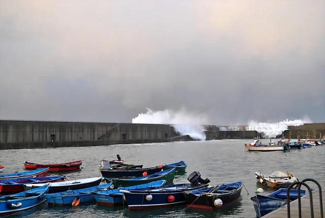 DSC_0722 DSC_0722