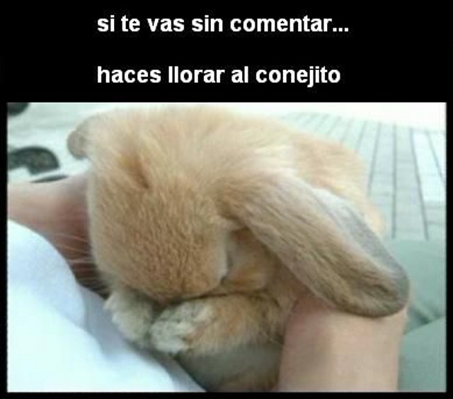 comenta comenta