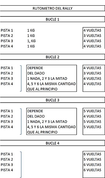 rutometro del rally