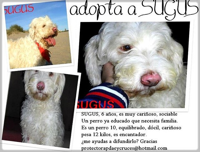 SUGUS Sevilla SUGUS Sevilla