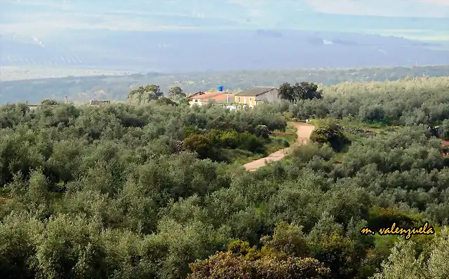 01, los charcones desde la estaci?n, marca