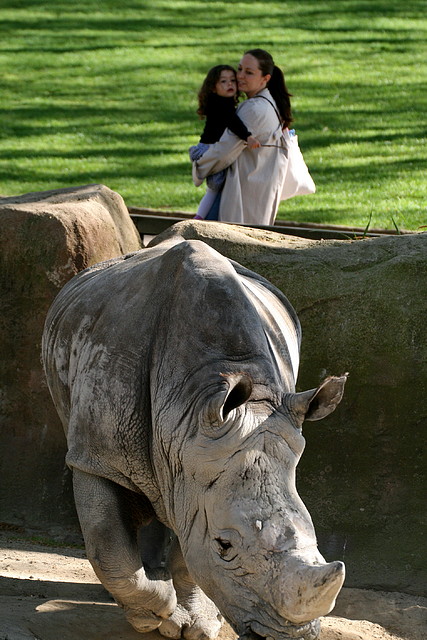 Zoo de Barcelona 07-04-11 124 Zoo de Barcelona 07-04-11 124