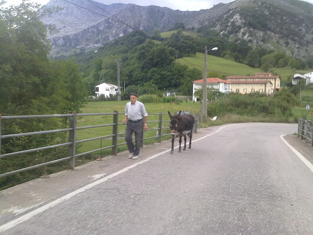 salida de hoy 033