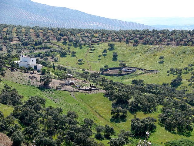 barranco hondo