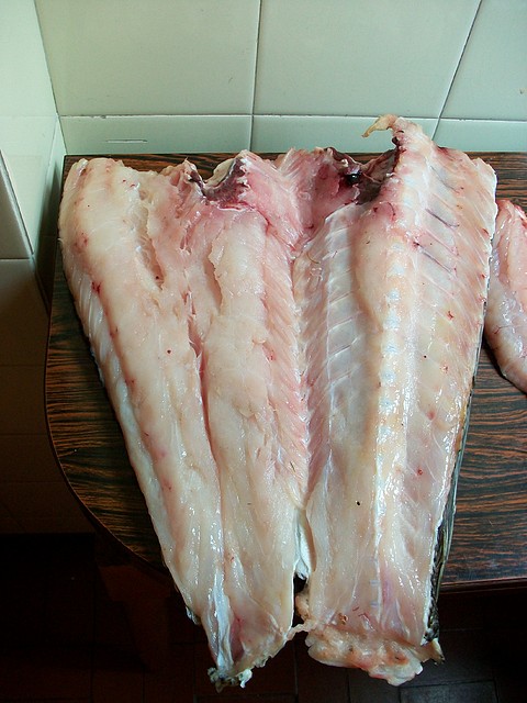 cola de salmon 10kg