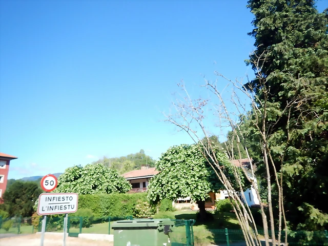 DSCN6746 DSCN6746
