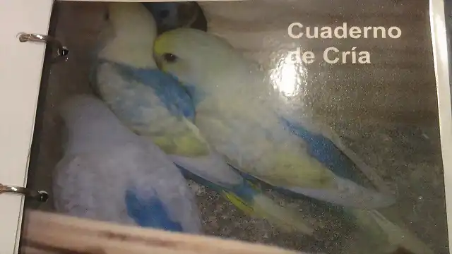 Portada Cuaderno Cra