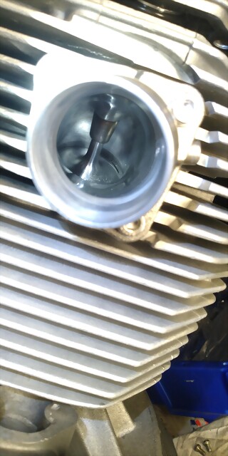 IMG_20221121_175838_654 IMG_20221121_175838_654