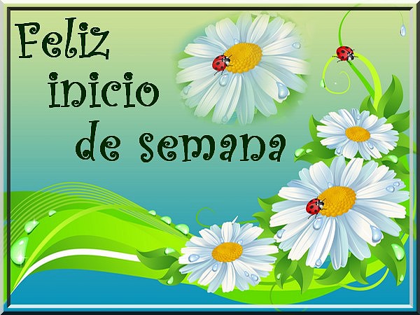 Feliz inicio de semana